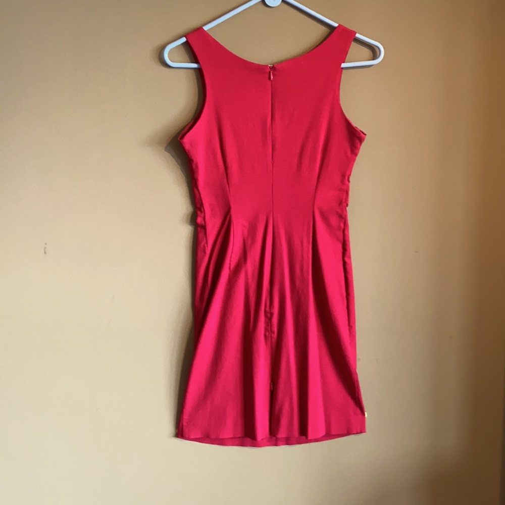 Express Dress - Picture 2 of 4